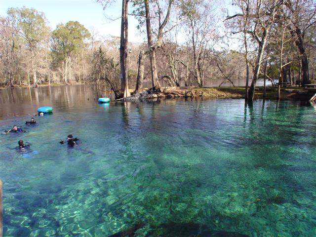 Ginnie Springs Fl