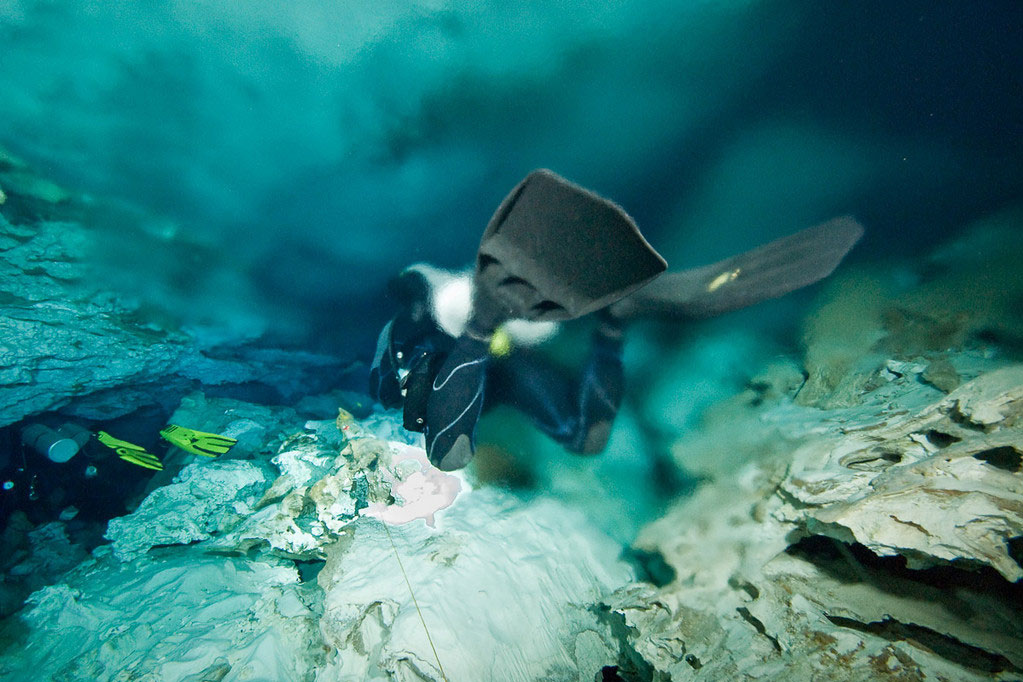 The halocline in Temple of Doom (photo by Don Currie)